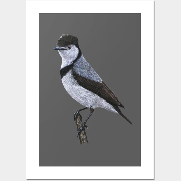 White-fronted chat Wall Art by Mikhail Vedernikov